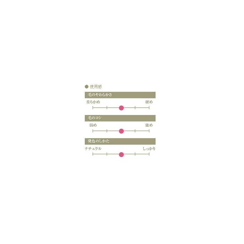 Kumano Brush (Cosmetic Brush) Takehodo Regular Series Powder Brush, Coarse