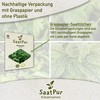 SaatPur Pimpinelle Seeds for Approx. 90 Plants Meadow Button Green