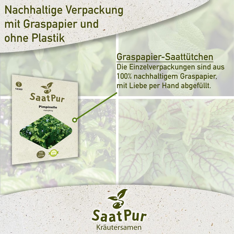 SaatPur Pimpinelle Seeds for Approx. 90 Plants Meadow Button Green