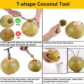 2 Pcs Coconut Opener Set with Reusable Stainless Steel Straws, T-Shaped Coconut Opener for Safe Opening of Young Green White Coconuts - Includes 4 Straws (2 Straight & 2 Bent) + 2 Cleaning Brushes