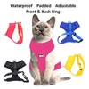 Dexil Colour Coded Cat Harness Warning Alert Vest Padded and