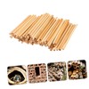 CIYODO 50pcs Bee Tubes for Beekeepers Natural Phragmite Habitat Easy