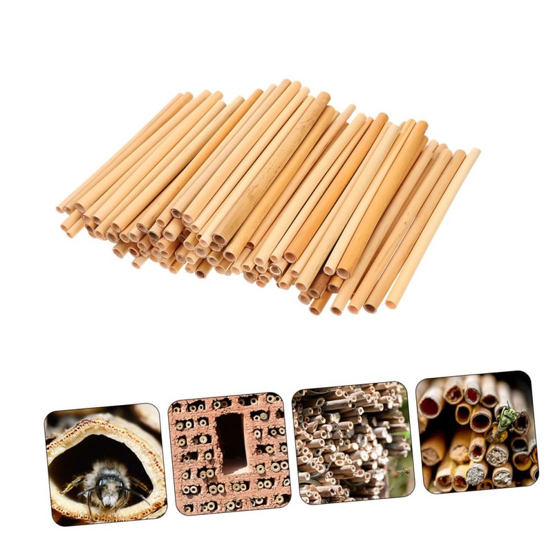 CIYODO 50pcs Bee Tubes for Beekeepers Natural Phragmite Habitat Easy
