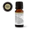 Plant Therapy Organic Ginger Root CO2 Essential Oil 10 mL