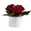 ROSEMARIE SCHULZ Heidelberg Infinity Rose Box White Round Preserved Flowers
