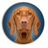 Magyar Vizsla Hungarian Shepherd Dog Portrait 5 Round Fridge Magnets