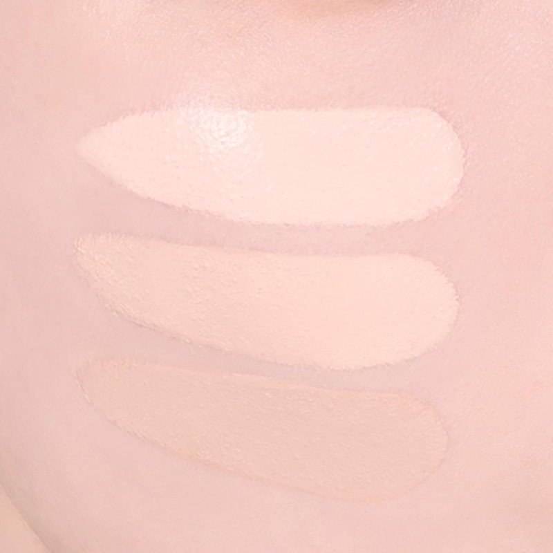 WAKE MAKE DEFINING COVER CONCEALER/DEFINING COVER CONCEALER (10 FAIR)