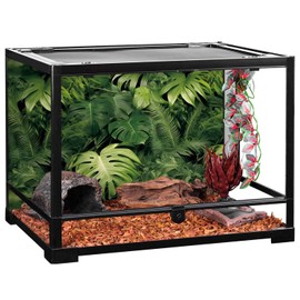 AWERT 36x18 inches Tropical Leaves Terrarium Background Polyester Reptile Habitat Background Rainforest Aquarium Background