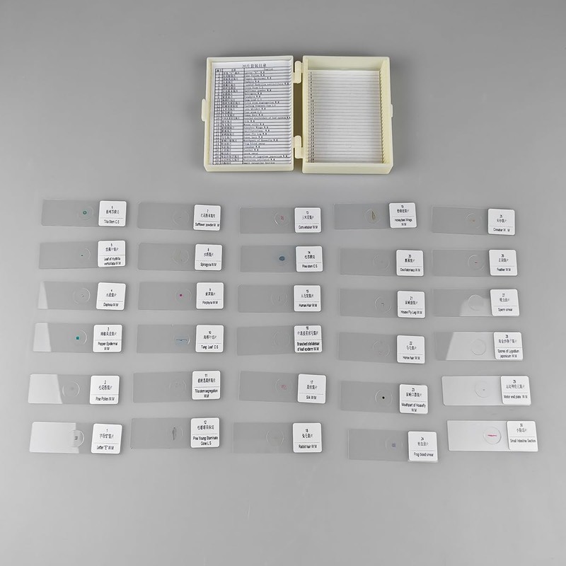 30 Pcs Microscope Slides Prepared Biology Specimen Lab Sample with