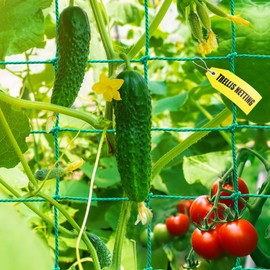 Garden Trellis Netting - Heavy Duty Trellis Net for Climbing Plants, Plant Netting for Cucumber, Tomato, 27 Strands Nylon & 4x4 Inch Mesh, Grow Netting for Fruits, Vegetables, Grape, Bean(6.6x4.9 FT)