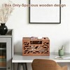 CILXGQLN Wooden Cable Management Box, Large Cord Hider Box &
