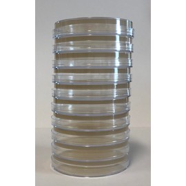 Nutrient Agar Plates 10pcs Plastic Petri Dishes with Lids Scientific Agar Jelly Petri Dish Agar Plates Prepoured Agar Plates Prepoured Petri Plates Cell Tool