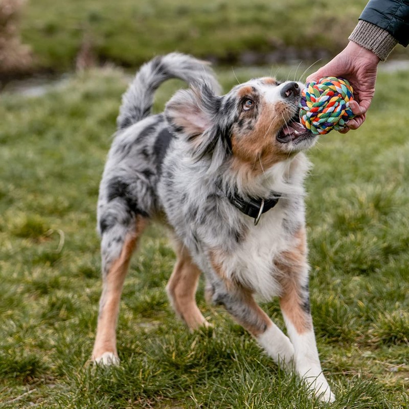 Nobby Playing Rope, 7.5 cm, 120 g
