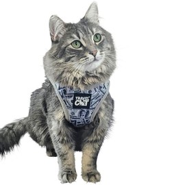 "Cash Cat" Limited Edition Harness & Leash Set - Size: L