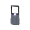 Carson Minibrite Lupa