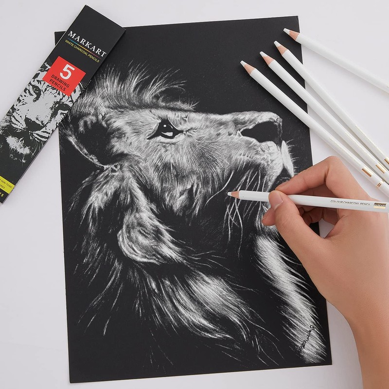 MARKART Professional White Charcoal Pencils Set, 5 Pieces Sketch Highlight