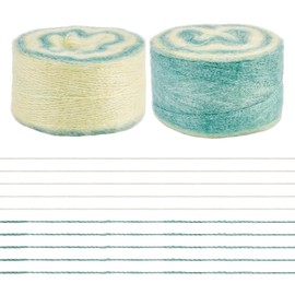 2 Rolls Gradual Silk Mohair Yarns for Hand Knitting Colorful Handmade Crochet Yarns Soft Cashmere Yarn for Weaving Blanket Pillows DIY Scarf Sweater Crafts 1mm