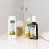 RAUSCH Coltsfoot Anti-Dandruff Shampoo 200 ml