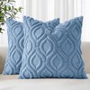 Faux Fur Plush Soft Blue Throw Pillow Covers 18x18 Set