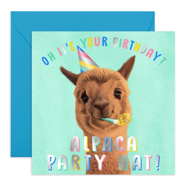 CENTRAL 23 - Cute Birthday Cards for Women - 'Alpaca Birthday Hat' - Sweet Birthday Card for Mom - Sister Birthday Card -Fun Birthday Cards for Men - Comes with Fun Stickers