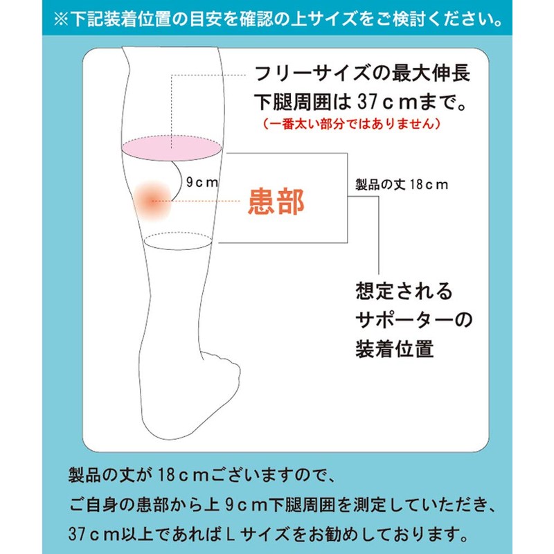 Bonbone Calf Supporter GT Cobra Black L