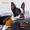 Moots Premium Leatherette Pets Sofa, Espresso, Medium/Large, Customizable