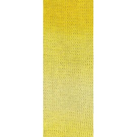 LANA GROSSA Gomitolo Tono Wool in Subtle Tone-on-tone Colour Gradient in Fruity Colours, Hand Knitting Yarn Made of 100% Cotton (Organic), 100 g Wool for Knitting and Crocheting, 360 m Yarn FB 1031