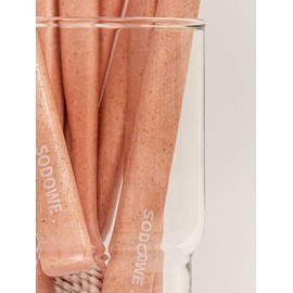 Soduwi Wood Chip Double-Sided Fine Bristle Toothbrush Spring Love Cherry Blossom Pink x 1 / 쏘두위 우드칩 양면미세모 칫솔 봄사랑벚꽃 핑크 x 1개