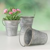 WHW Whole House Worlds Farmhouse Metal Planter or Flower Pots,