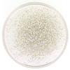 Miyuki Round Seed Beads Size 15/0 8.2 Gram Tube Silver
