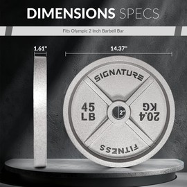 Deep Dish 2-Inch Olympic Cast Iron Weight Plates with E-Coating Grey