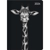 Ladytimer Midi Wild Life Art 2024 - Pocket Calendar 12
