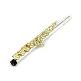 Sky C Flute with Lightweight Case, Cleaning Rod, Cloth, Joint Grease and Screw Driver - Silver/Gold Closed Hole
