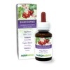 Hawthorn (Crataegus oxyacantha) Flowers and Leaves Alcohol-Free Mother Tincture Naturalma