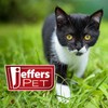 Jeffers Pet Ear Drops for Dogs & Cats – Ear
