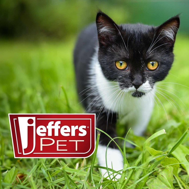 Jeffers Pet Ear Drops for Dogs & Cats – Ear
