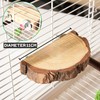 bangminda Platform for Pets Chinchilla Hamster 32 x 14 cm