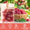 Kolsvart Sour Raspberry Candy Fish, 4.2 OZ