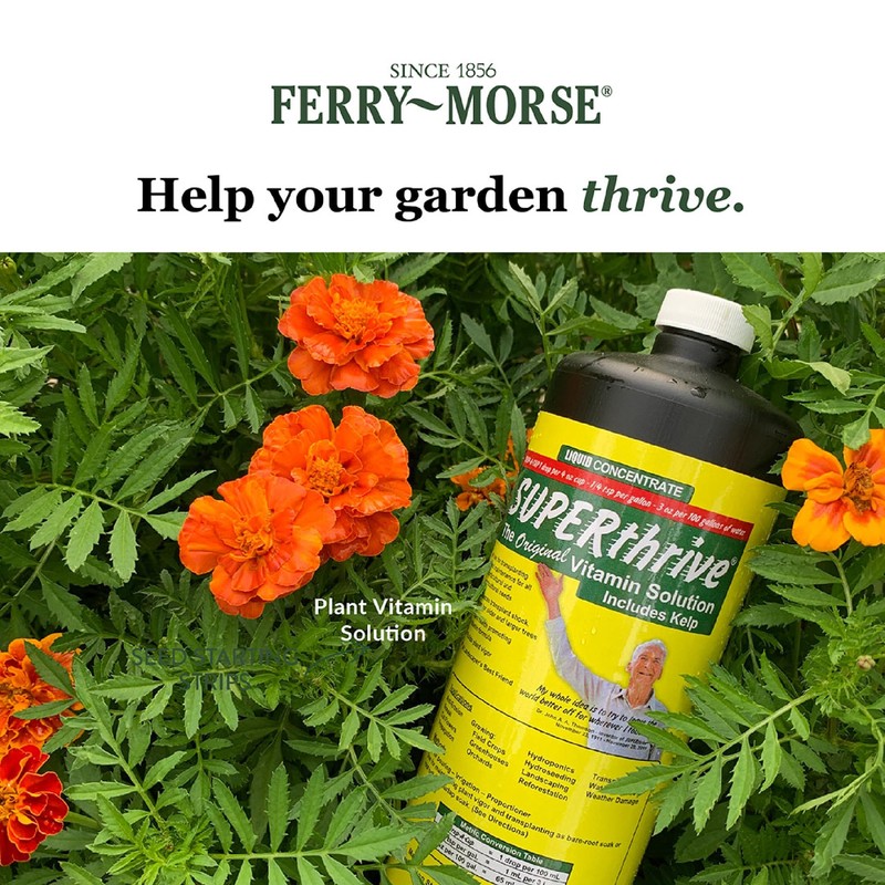 SUPERthrive Plant Vitamin Solution, 1 Pint