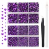 AUREHEN 10000PCs 2-6MM Violet Resin Flat Back Rhinestones with Silver
