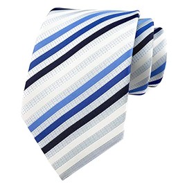 Secdtie Men's Large Striped Jacquard Woven Silk Tie Formal Business Necktie (One Size, Blue White stripe)