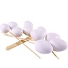Plastic Hollow Eggs On Sticks White Easter Eggs to Decorate