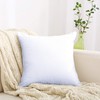 NTBAY 500 Thread Count Egyptian Cotton Pillowcase, Set of 2,