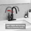 Black Bathroom Sink Faucet with Pull Out Sprayer for 1