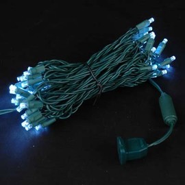 Novelty Lights 50 Light LED Twinkle Christmas LED Mini Light Set, Outdoor Fairy Wedding String Lights, Pure White, Green White, 25 Feet