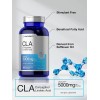 CLA 5000 mg | Maxiumum Potency | 300 Softgel Pills