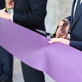 Ribbon Cutting Scissors Fabric Scissors 26.5 cm for Ribbon Cutting Ceremony Gold Scissors for Cutting Fabric, Clothing, Textiles, Leather, Plastic Cardboard (Not as Flower or Garden Shears)