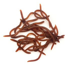 FOLANDO 20PCS Fishing Worms, 10CM Soft Fishing Lures earthworm Soft Plastic Baits Bass Fishing Lures for Fishing Trout Redfish