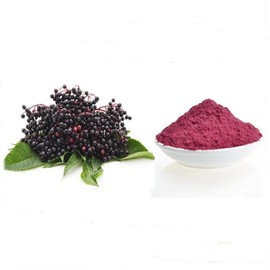 Elderberry Concentrate Powder 1kg