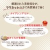 Magnetic Sheet & Dot Face Mask, Highly Moisturizing, Dry Skin